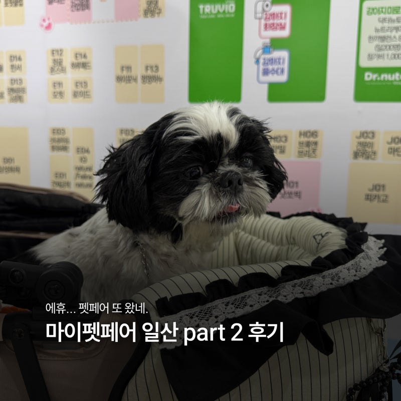 마이펫페어 일산 part 2 후기 꾸꾸씨 미안하지만, 개뻥은 제뻥이에요.
