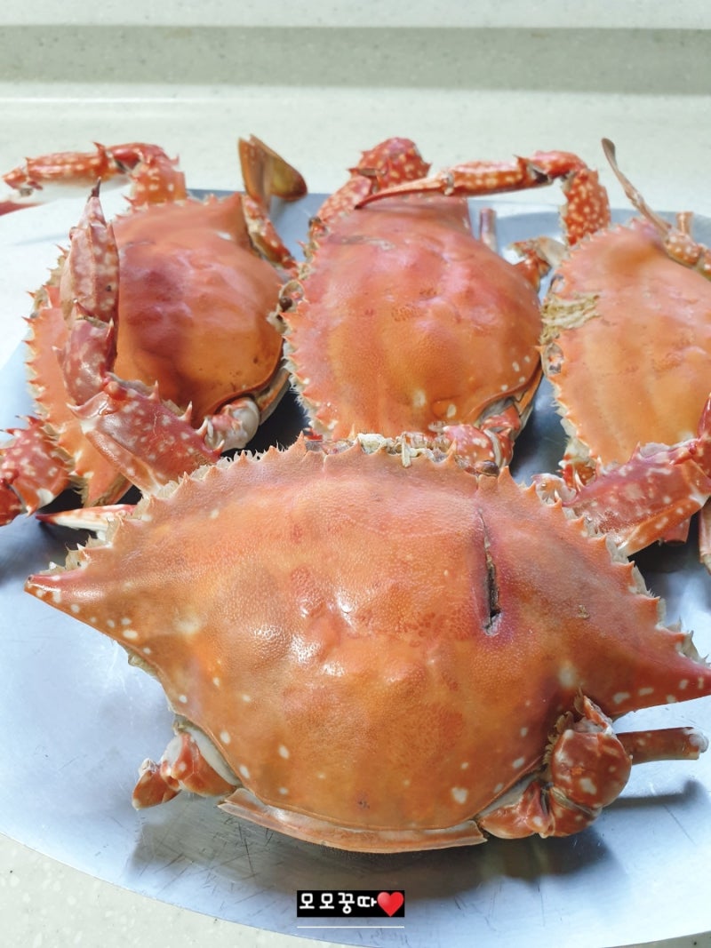 꽃게찜 하는법.꽃게찜 찌는 시간.꽃게찜 손질 방법_가을 꽃게찜 레시피 및 꽃게찜 만드는 방....