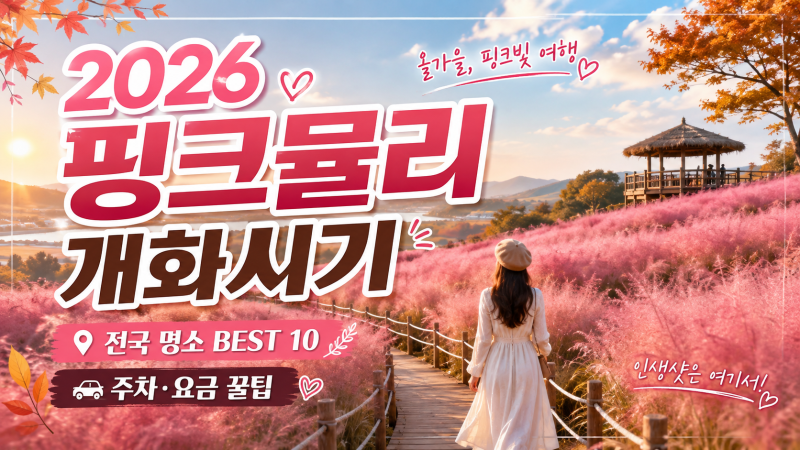 2026 핑크뮬리 개화시기 언제? 전국 핑크뮬리 명소 BEST 10｜주차 꿀팁과 요금정보까지!
