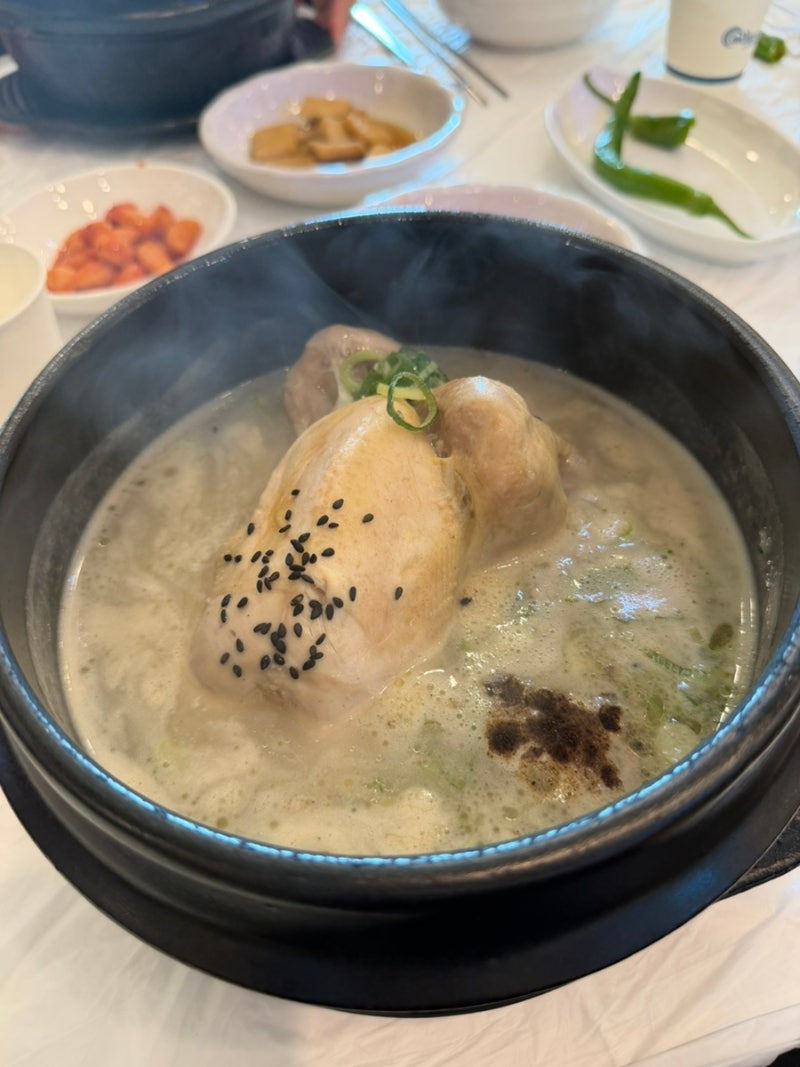 친구가 챙겨준 대구 달서구 삼계탕 맛집 닭올닭 죽전점에서의 중복(개더웠다)