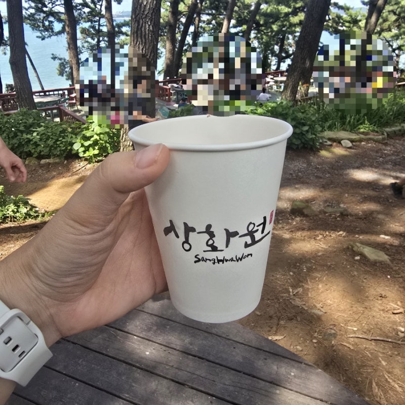 [여행] 대천 보령 죽도 상화원