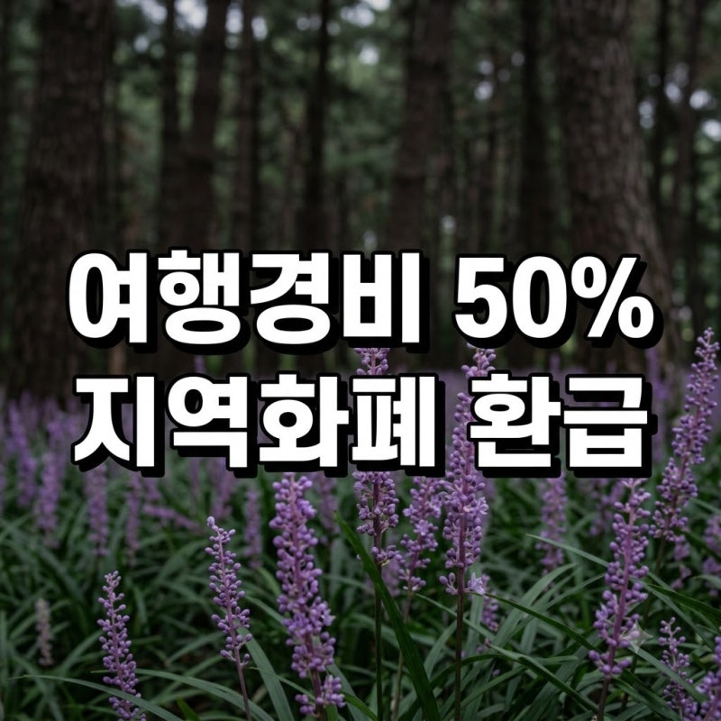 국내 반값여행 신청 지역 사이트 하반기 총정리(+고흥 안동 밀양 제천 고성 태안 제주)