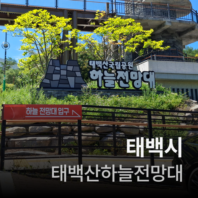 태백여행(걷기편한 태백산하늘전망대)