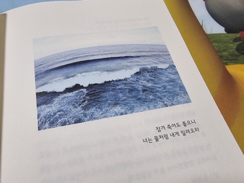 너는 물처럼 내게 밀려오라, 이정하 시인, 문이당