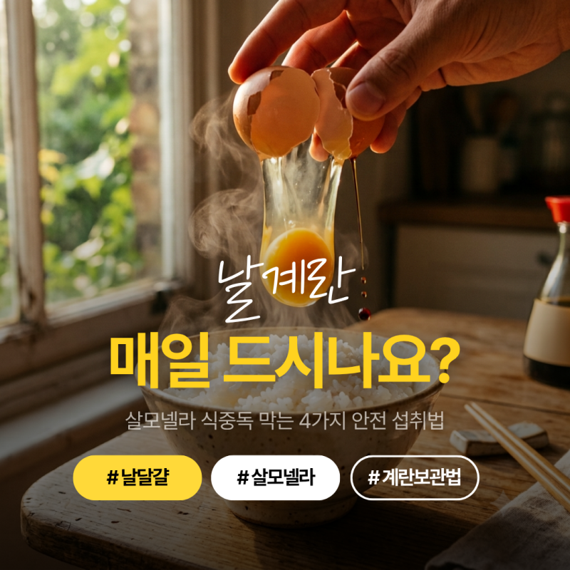 날달걀 살모넬라 식중독, 날계란 그냥 먹어도 될까? 감염 막는 4가지 안전 섭취법