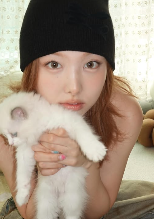 TWICE Nayeon, Who Bought a 9.5 Billion Won Building in Cheongdam-dong: Profile, Education, Hometown, Assets, Age, Family, Spouse, and Works