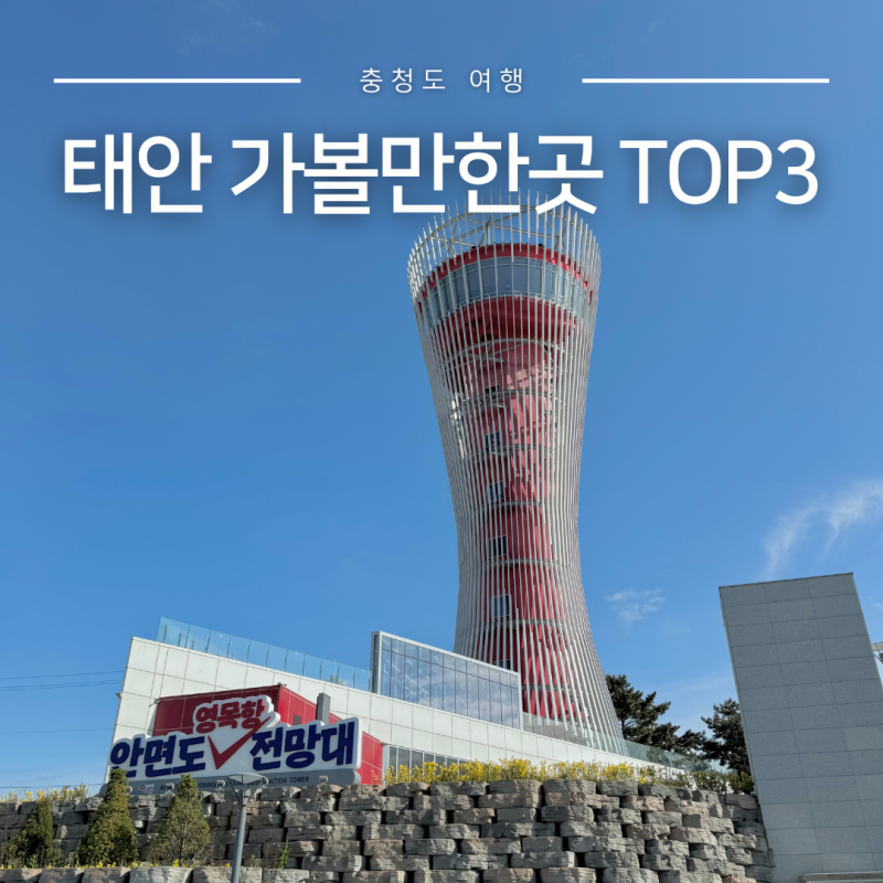 9월 10월 태안 가볼만한곳 TOP3 영목항 전망대 드르니항 바람아래해수욕장 해루질