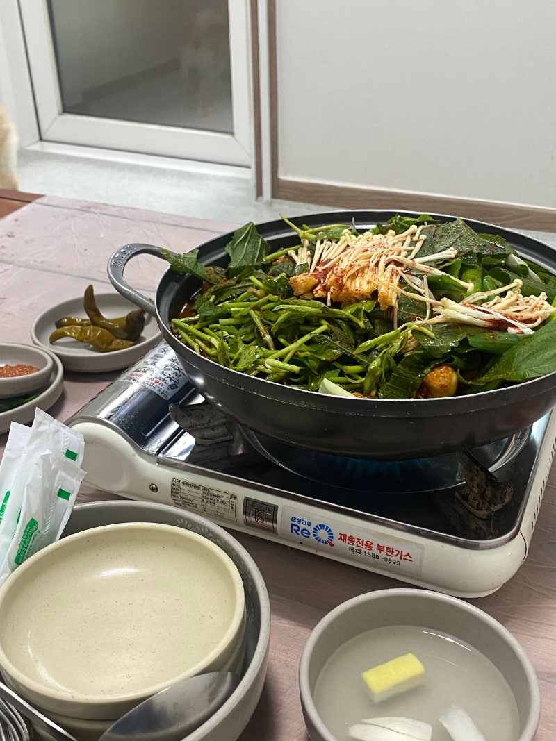 가평역 근처 맛집 찾는다면? 애견동반 가능 닭볶음탕:동기간