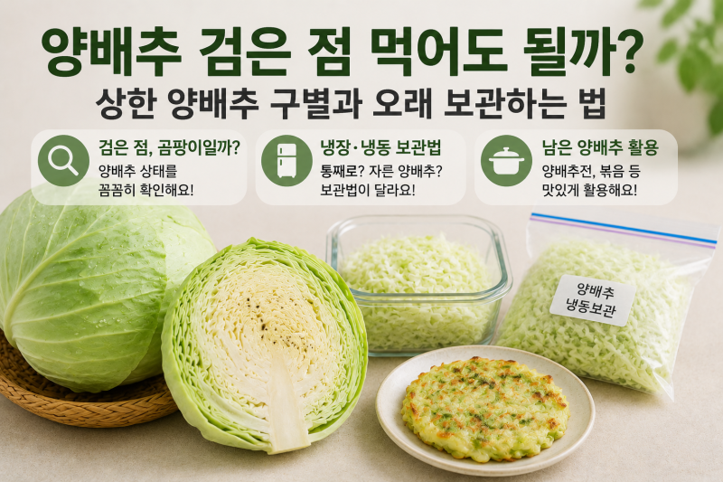 양배추 검은 점 먹어도 될까? 상한 양배추 구별과 오래 보관하는 법