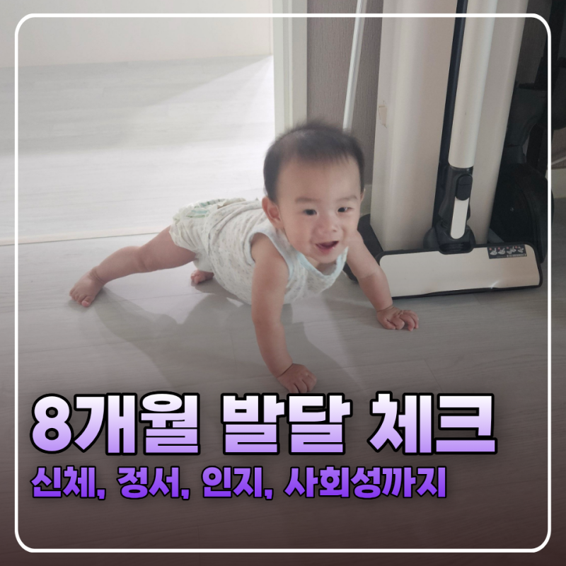 8개월 아기 발달 체크리스트(신체, 인지, 사회성, 정서)