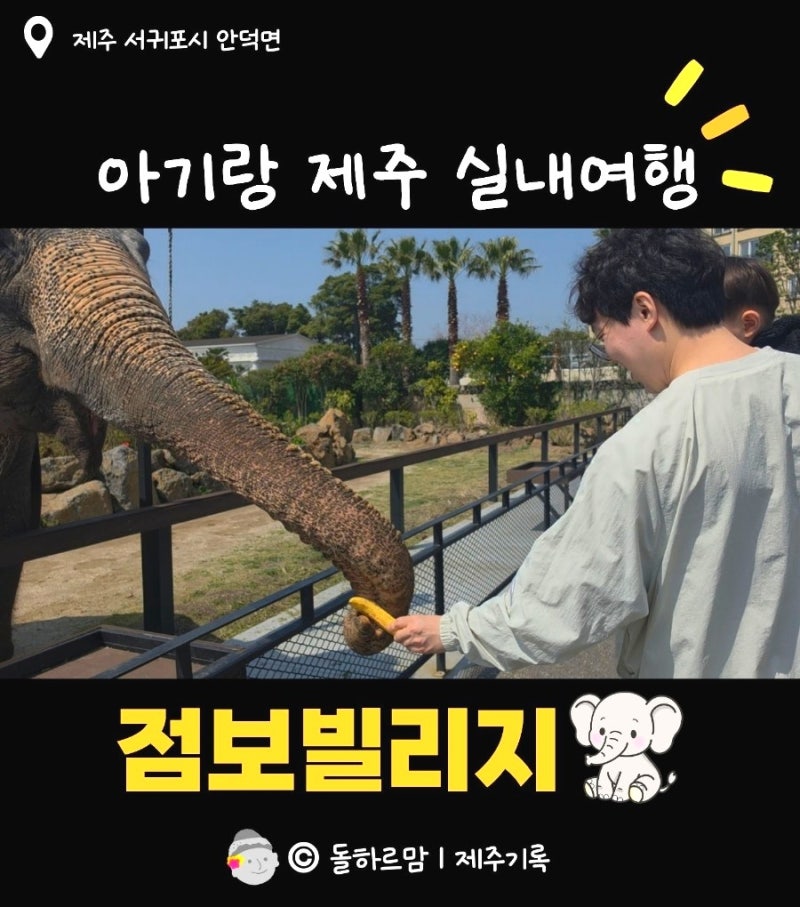 제주 비오는날 아기랑 갈만한곳 점보빌리지 | 코끼리 공연 후기