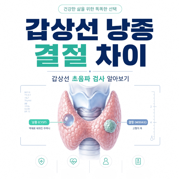 갑상선 낭종 결절 차이, 갑상선 초음파 검사