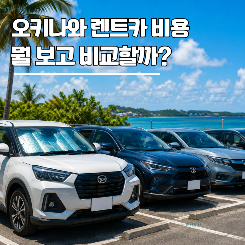 오키나와 렌트카 비용｜4인 가족 버스비와 비교, 보험·ETC까지