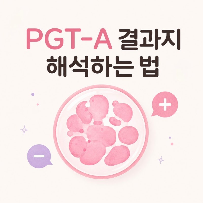 PGT-A 결과지 해석하는 법｜정상배아·모자이크·염색체 +/−
