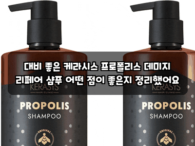 대비 좋은 케라시스 프로폴리스 데미지 리페어 샴푸 어떤 점이 좋은지 정리했어요