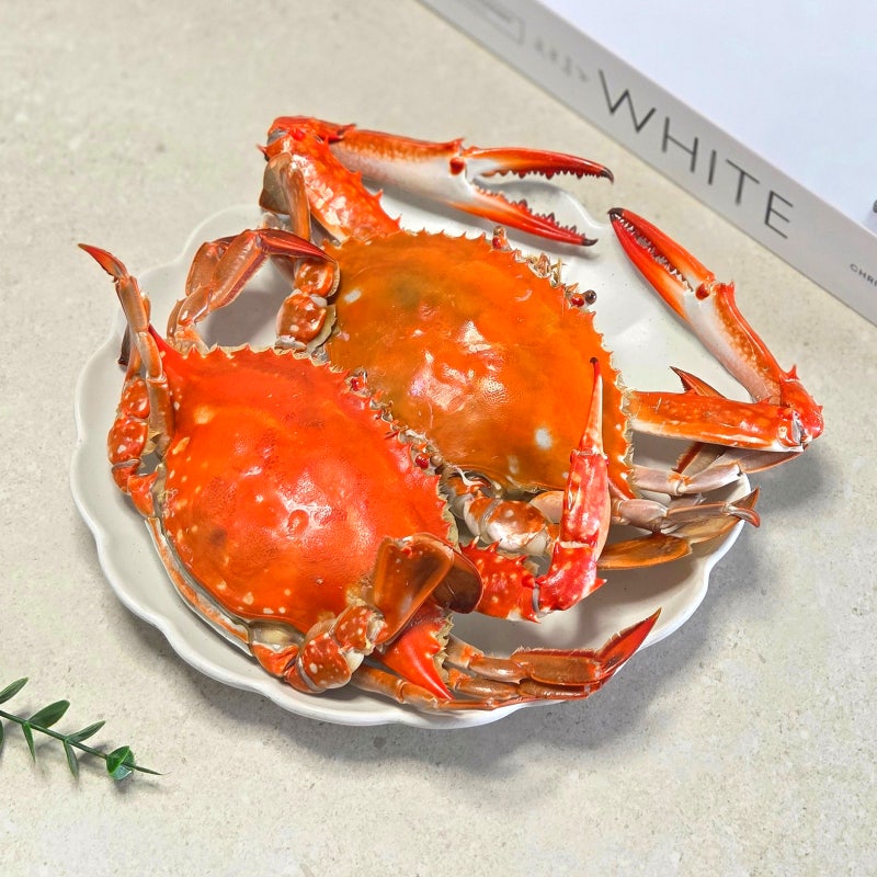생물 꽃게찜 하는법 가을 꽃게 손질법 삶는법 비린내 없이 찌는 법 요리 시간