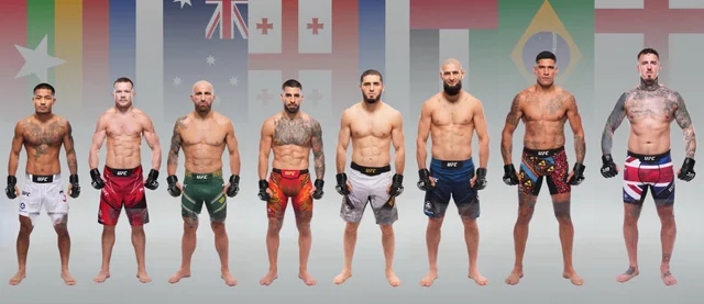 <b>UFC</b> 체급별 정리, 헤비급부터 플라이급까지 한 번에 알아보기