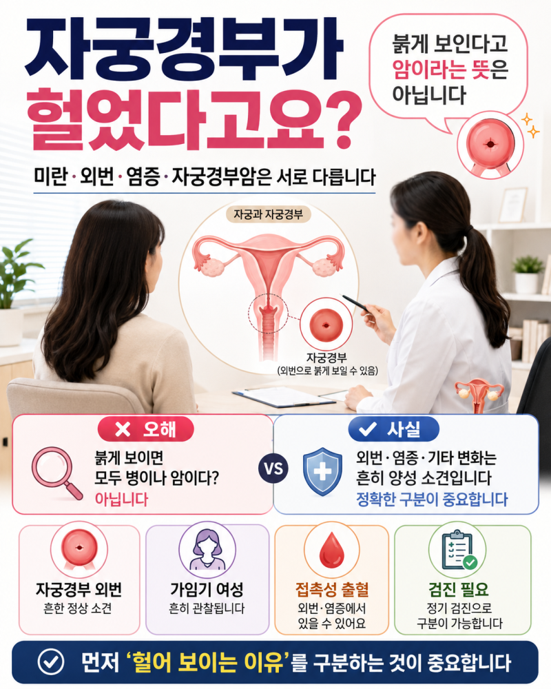 산부인과에서 “자궁경부가 헐었네요” 들었다면, 미란·외번·염증과 자궁경부암 차이