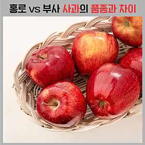 홍로 사과 부사 차이, 맛·당도·수확시기 어떻게 다를까? 더 달고 맛있는 사과는?