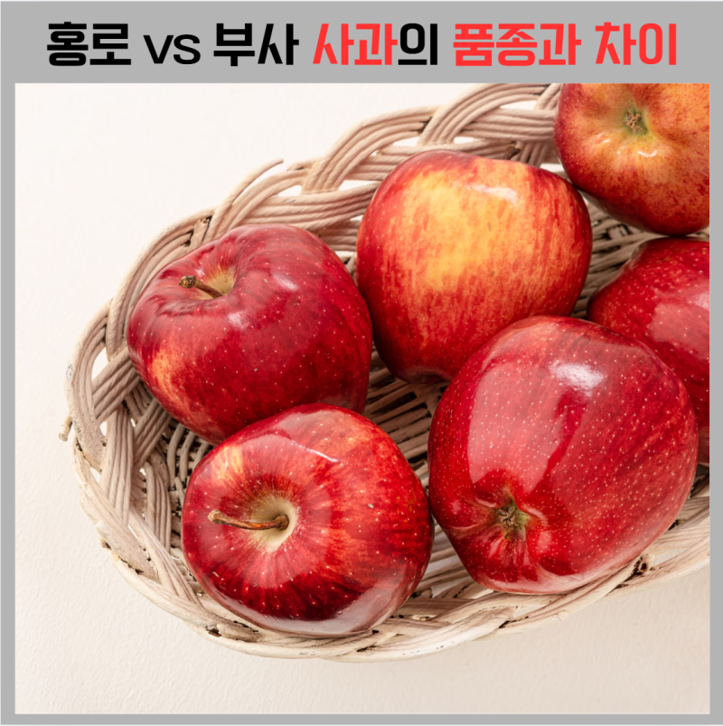 홍로 사과 부사 차이, 맛·당도·수확시기 어떻게 다를까? 더 달고 맛있는 사과는?