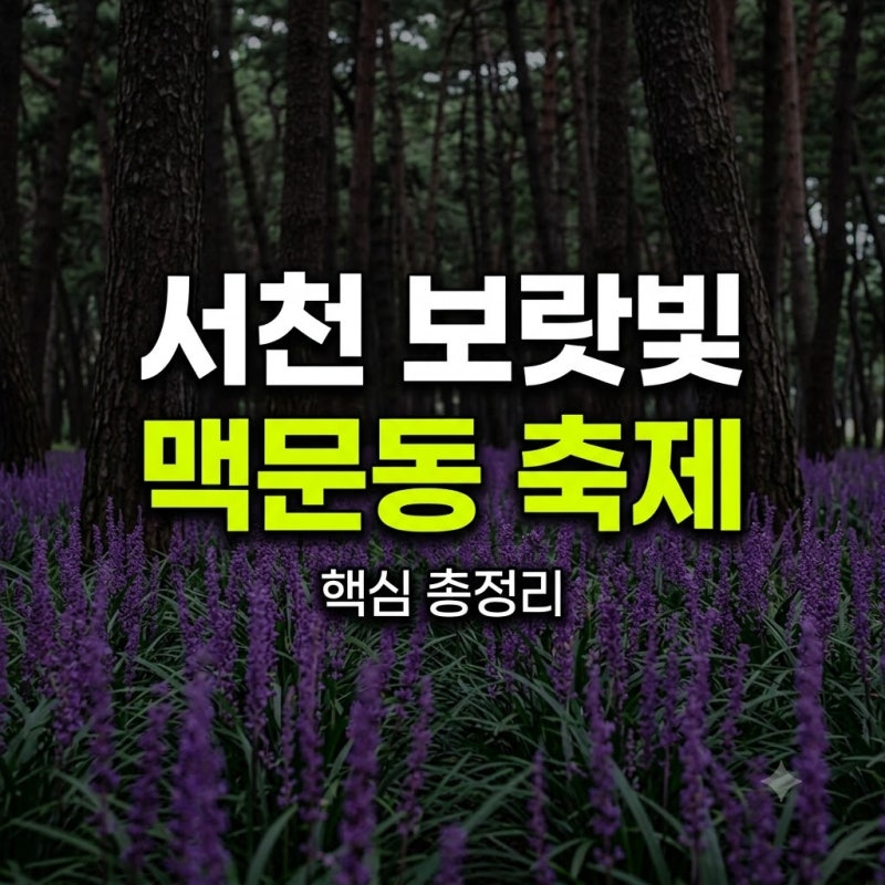 서천 맥문동 축제 기간 기본정보 일정 실시간 총정리(+초대 가수 맛집 장소 입장료 후기 주차....