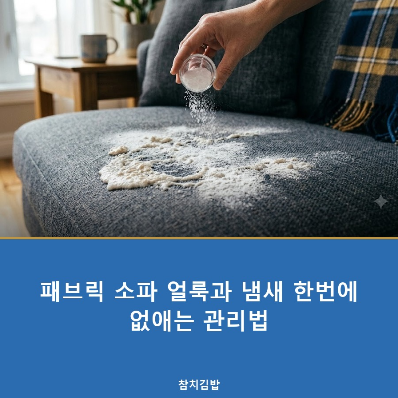 패브릭 소파 얼룩과 냄새 한번에 없애는 관리법