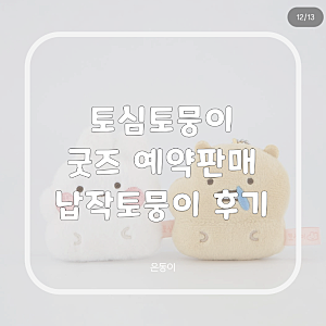 토심이 굿즈 예약판매 오픈! 커플굿즈 토심이 토뭉이 키링인형 후기