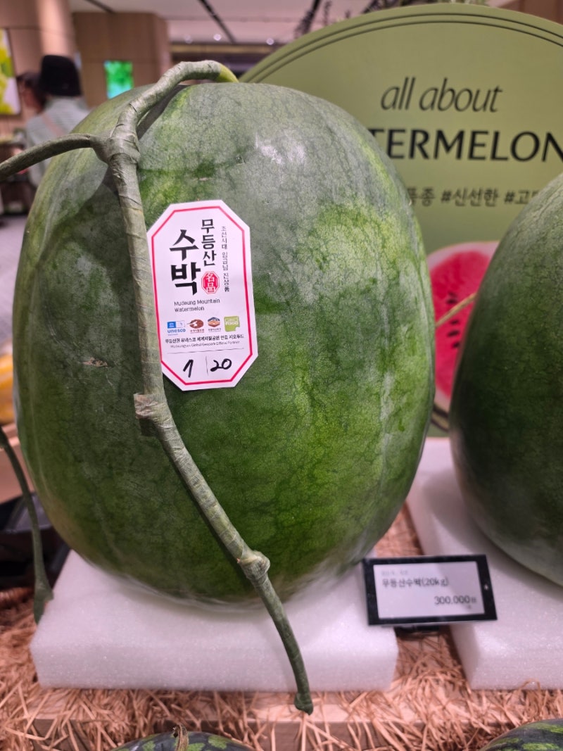롯데백화점 과일 코너에서 깜짝 놀란 이유 무등산수박 가격