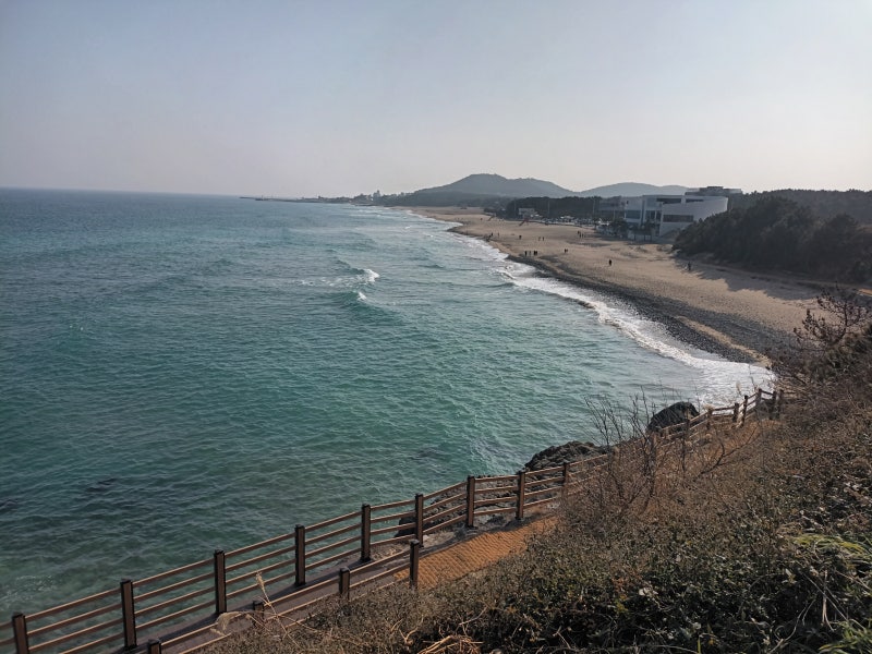 [부동산 절세] 상가주택 매매 세금 총정리 (양도세, 포괄양도양수, 부가가치세, 취득세율)