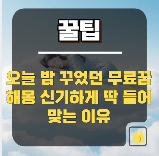 오늘 밤 꾸었던 무료꿈해몽 신기하게 딱 들어맞는 이유