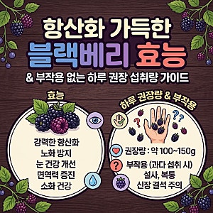 항산화 가득한 블랙베리 효능과 부작용 없는 하루 권장 섭취량 가이드