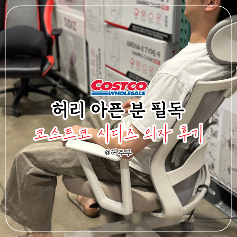 코스트코 시디즈 10만 원대? 직접 앉아보고 결정한 솔직 후기