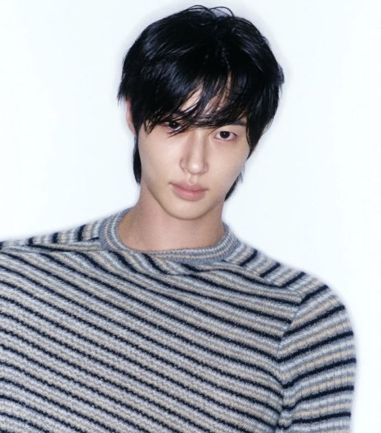 ✨️✨️ 변우석 필모그래피✨️✨️