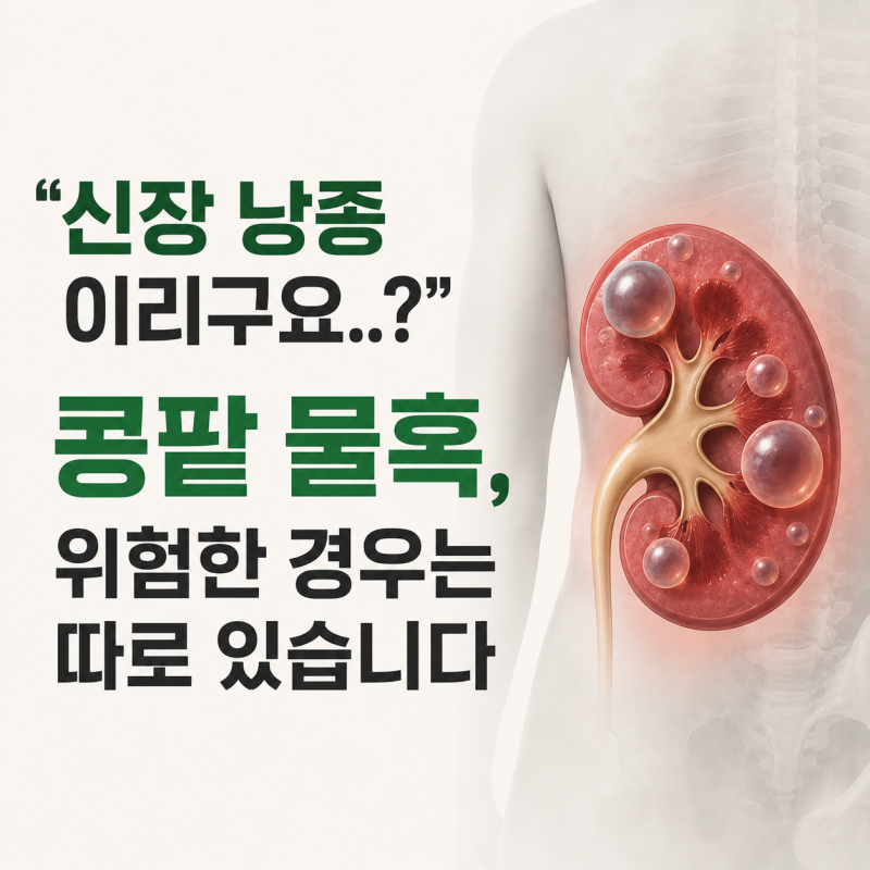 "신장 낭종이라구요..? " 콩팥 물혹, 위험한 경우는 따로 있습니다