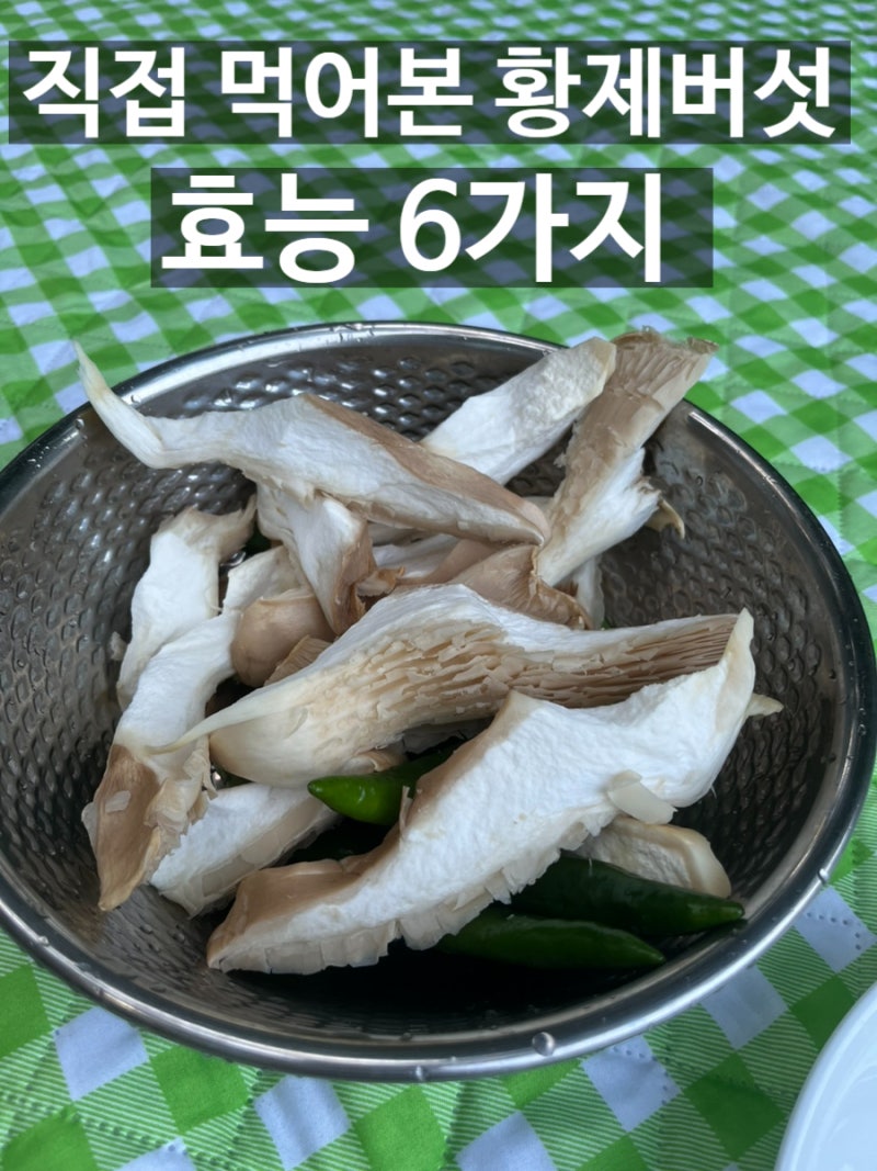 황제 버섯 설원 버섯 효능 6가지 몸에 좋을까 항산화 면역 다이어트 효과 직접 먹어본 후기