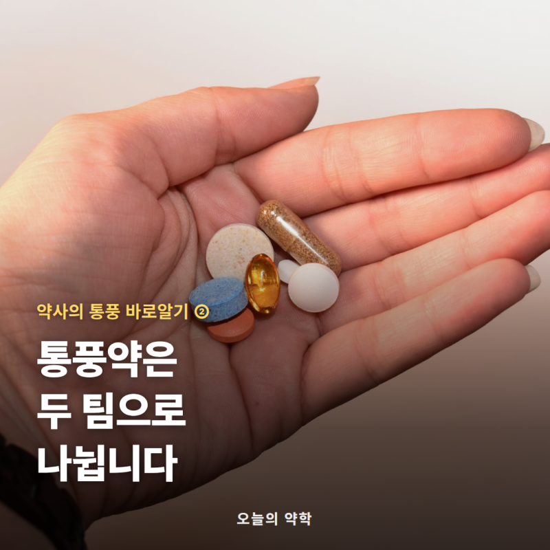 통풍약 종류 총정리 — 콜히친·요산저하제, 목표는 요산 6 미만 (통풍 2편)