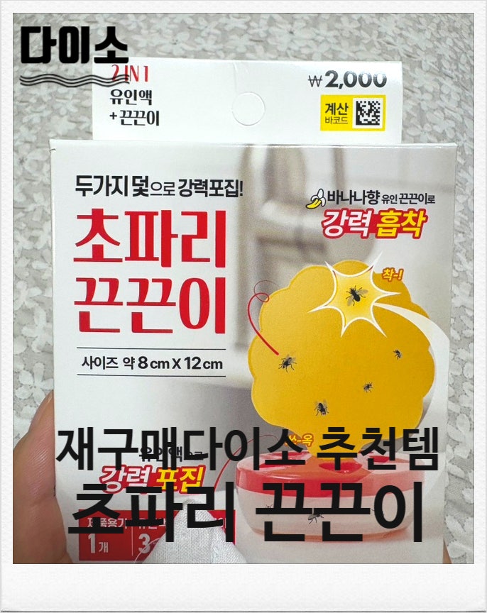 다이소 추천템 효과좋은 초파리 트랩보다 끈끈이 재구매 후기