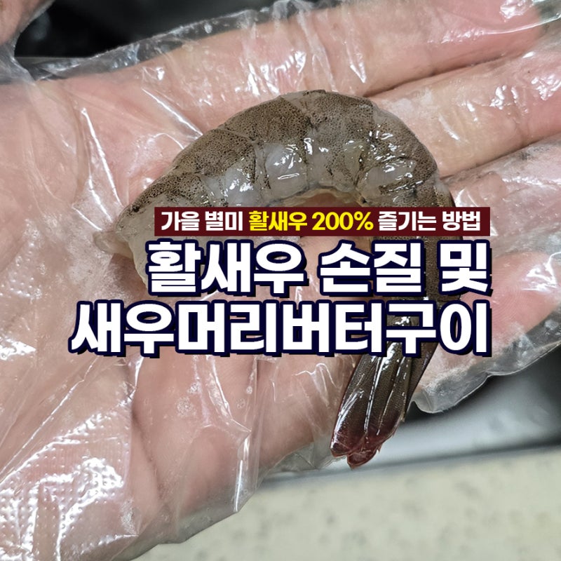 흰다리새우/활새우 손질 방법! 생새우회와 잘 어울리는 불닭마요소스, 새우버터머리구이 레....