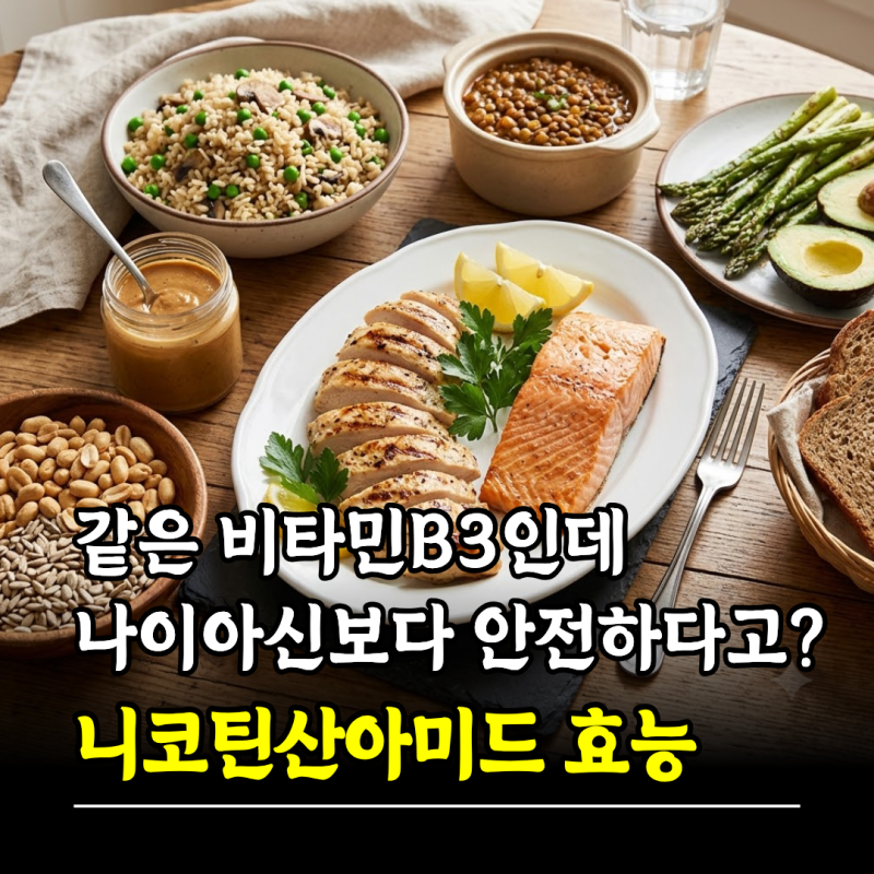 같은 비타민B3인데 나이아신보다 안전하다고? 니코틴산아미드 효능 부작용