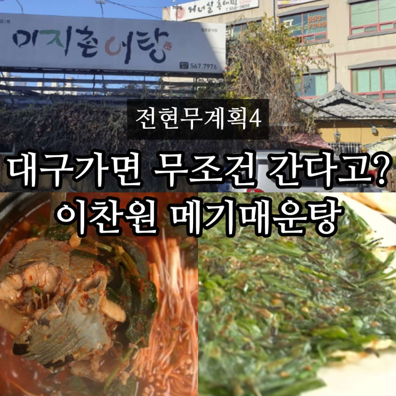 전현무계획4 대구 논메기매운탕 어디? 이찬원 메기매운탕 추천 미지촌어탕 가격