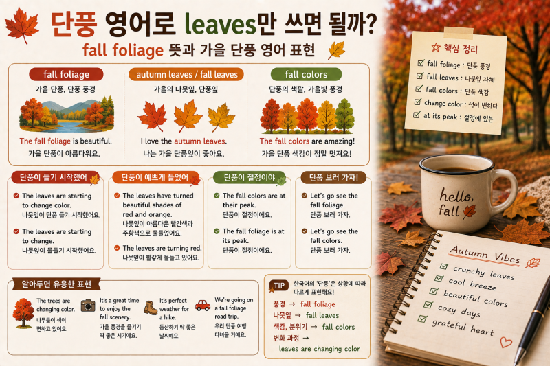 단풍 영어로 leaves만 쓰면 될까? fall foliage 뜻과 가을 단풍 영어 표현