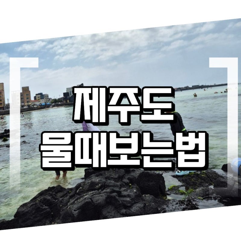 제주도 물때 보는 법 ! 금능 협재 해수욕장 9월 간조 시간 확인 팁