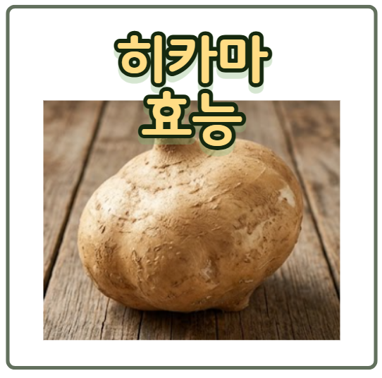 얌빈 효능 5가지 히카마 먹는법 칼로리 부작용
