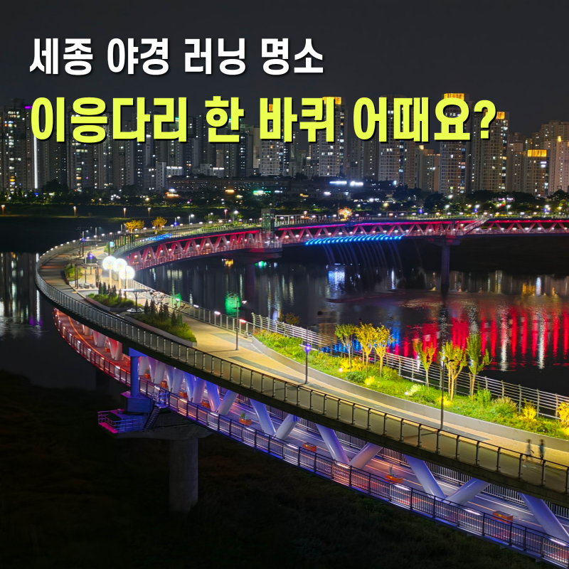 세종가볼만한곳 금강보행교 이응다리 세종야경 보며 달리는 러닝코스