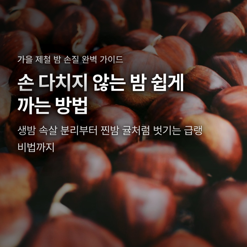 밤 쉽게 까는 방법, 생밤 손질과 찐밤 귤처럼 벗기는 비법