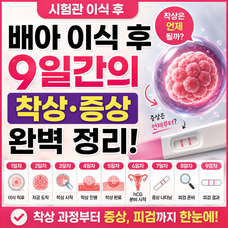 [시험관] 임테기 쥐고 계신가요? 배아 이식 후 9일간의 착상·증상 완벽 정리!