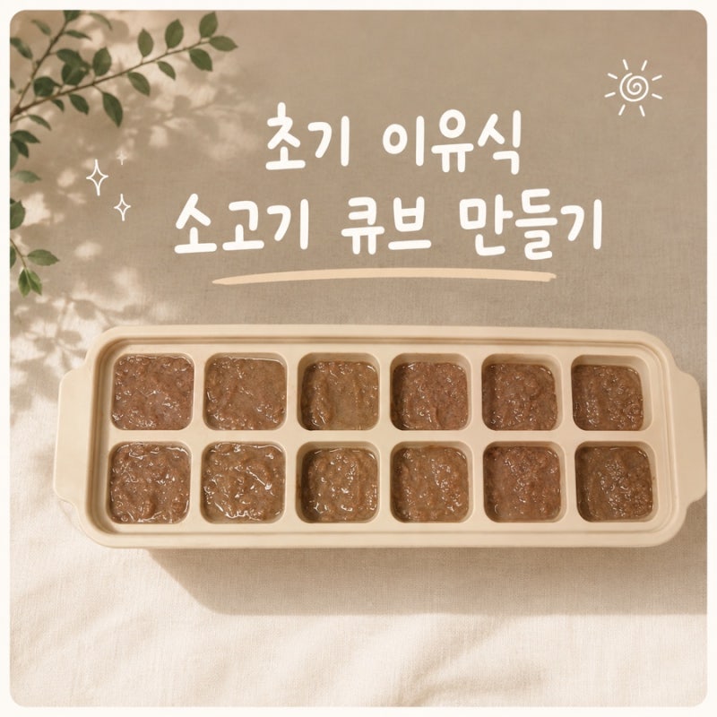 이유식 | 초기이유식 소고기 큐브 만들기 | 이유식 소고기부위는?