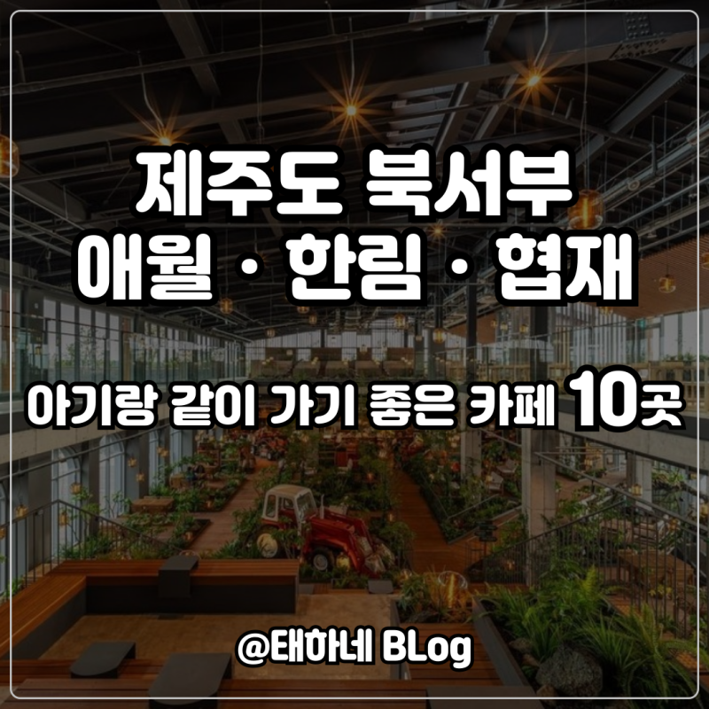 제주도 북서부 아기랑 가기 좋은 카페 10곳 / 애월·한림·협재 유모차 이동이 편한 곳