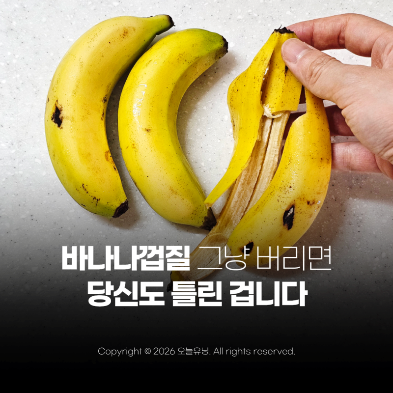 바나나껍질 분리수거 버리는법 음쓰 일쓰 하나로 정리 끝냅니다