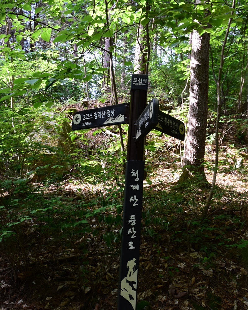 [포천] 청계산 산행